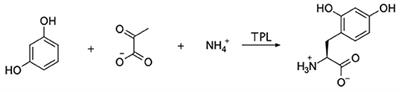 Rapid Structural Analysis of a Synthetic Non-canonical Amino Acid by Microcrystal Electron Diffraction